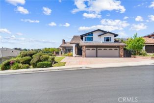 Single Family Residence, 2223 Vista Mesa way, Orange, CA 92867 - 45