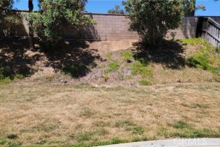 Single Family Residence, 28799 Lavatera ave, Murrieta, CA 92563 - 41