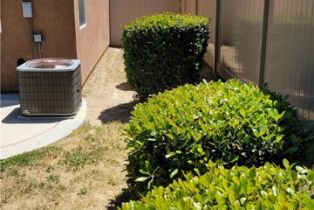 Single Family Residence, 28799 Lavatera ave, Murrieta, CA 92563 - 44