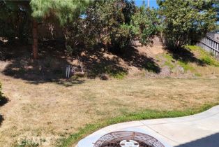 Single Family Residence, 28799 Lavatera ave, Murrieta, CA 92563 - 45