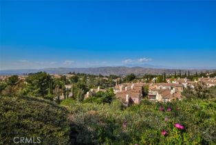 Condominium, 8025 Sandstone dr, Anaheim Hills, CA 92808 - 34