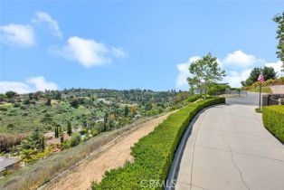 Single Family Residence, 10302 Broadview Place, North Tustin, CA 92705 - 65