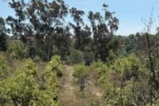 , 14097 Pauma Valley / Pauma Valley dr, Valley Center, CA 92082 - 20