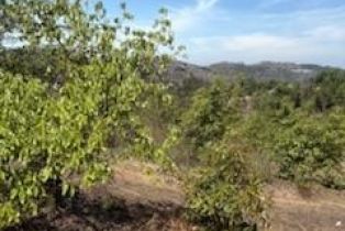 , 14097 Pauma Valley / Pauma Valley dr, Valley Center, CA 92082 - 22