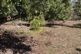 , 14097 Pauma Valley / Pauma Valley dr, Valley Center, CA 92082 - 25