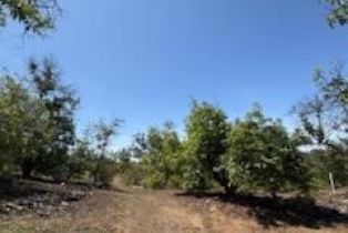 , 14097 Pauma Valley / Pauma Valley dr, Valley Center, CA 92082 - 27