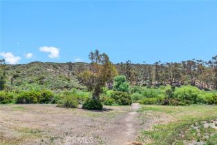 Single Family Residence, 1821 Overview cir, North Tustin, CA 92705 - 49