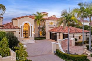 Single Family Residence, 7 Seahaven, Newport Coast, CA 92657 - 2