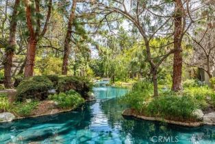 Condominium, 4900 Chapman ave, Orange, CA 92869 - 4