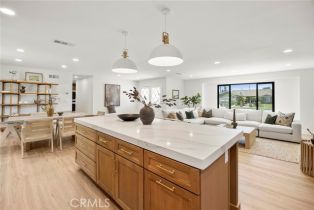 Single Family Residence, 4732 Tucana st, Yorba Linda, CA 92886 - 9