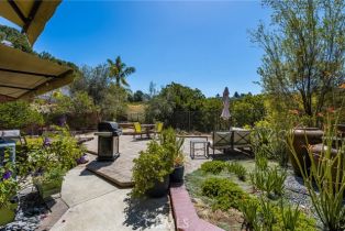 Single Family Residence, 7686 Big Canyon dr, Anaheim Hills, CA 92808 - 44