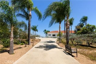 Single Family Residence, 3610 Monserate Hill ct, Fallbrook, CA 92028 - 49