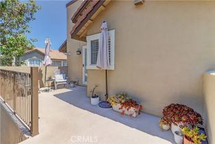 Condominium, 8008 Snapdragon ln, Anaheim Hills, CA 92808 - 33