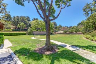 Condominium, 8008 Snapdragon ln, Anaheim Hills, CA 92808 - 40