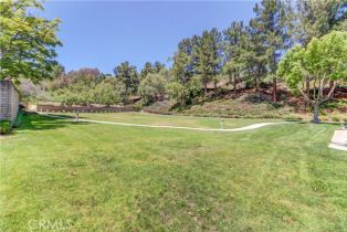 Condominium, 8008 Snapdragon ln, Anaheim Hills, CA 92808 - 41