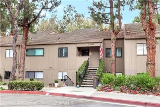 Residential Lease, 31463  E Nine DR, Laguna Niguel, CA  Laguna Niguel, CA 92677