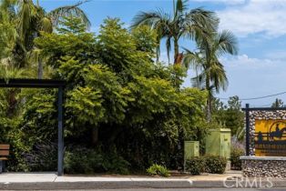 Single Family Residence, 227 Calle Grande, Orange, CA 92869 - 56