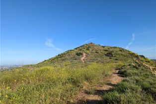 Condominium, 152 Singingwood st, Orange, CA 92869 - 59