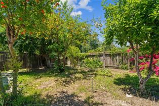 Single Family Residence, 1693 Los Robles ave, Pasadena, CA 91104 - 30