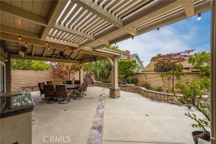 Single Family Residence, 293 Paseo De Juan, Anaheim Hills, CA 92807 - 26