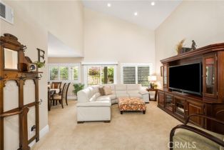 Single Family Residence, 293 Paseo De Juan, Anaheim Hills, CA 92807 - 7