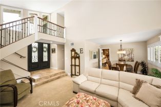 Single Family Residence, 293 Paseo De Juan, Anaheim Hills, CA 92807 - 9