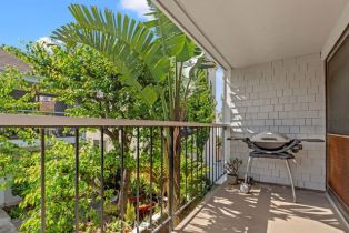 Condominium, 317 Dahlia pl, Corona Del Mar, CA 92625 - 17