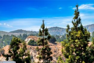 Condominium, 6211 Newhaven ct, Yorba Linda, CA 92887 - 41