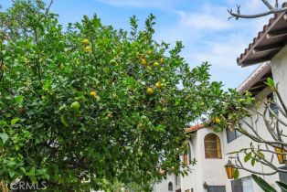 Single Family Residence, 400 S Flower st, Orange, CA 92868 - 21