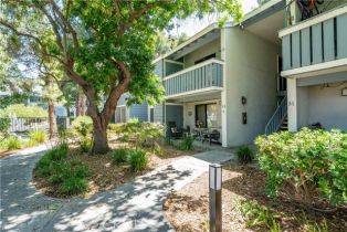 Condominium, 25611 Quail RUN, Dana Point, CA  Dana Point, CA 92629