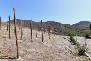 Single Family Residence, 35916 Rice Canyon rd, Fallbrook, CA 92028 - 27