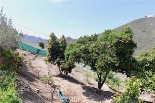 Single Family Residence, 35916 Rice Canyon rd, Fallbrook, CA 92028 - 34