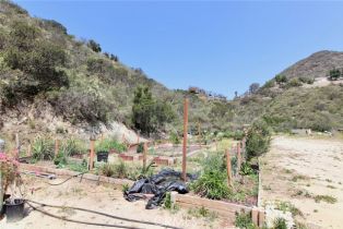 Single Family Residence, 35916 Rice Canyon rd, Fallbrook, CA 92028 - 37