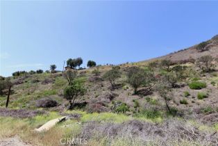 Single Family Residence, 35916 Rice Canyon rd, Fallbrook, CA 92028 - 39