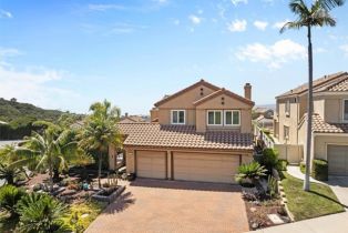 Single Family Residence, 42 Paseo Alba, San Clemente, CA 92672 - 53