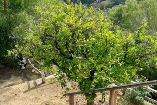 Single Family Residence, 9552 Ventura way, Chatsworth, CA 91311 - 16