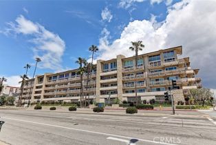 Condominium, 230  S Catalina AVE, CA  , CA 90277