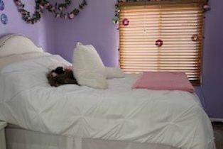 Residential Income, 214 Camino Real, Redondo Beach, CA 90277 - 14