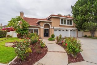 Single Family Residence, 20665 Via Tapaste, Yorba Linda, CA  Yorba Linda, CA 92886