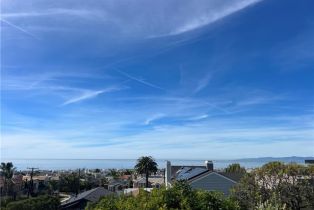 Single Family Residence, 207 N Dianthus st, Manhattan Beach, CA 90266 - 46