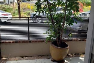 Residential Income, 3315 Strongs dr, Venice, CA 90292 - 20