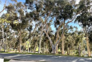 Single Family Residence, 3001 Palos Verdes dr, Palos Verdes Estates, CA 90274 - 21