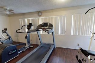 Apartment, 209 Prospect ave, Redondo Beach, CA 90277 - 8