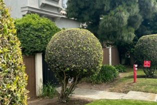 Condominium, 700 Meyer lane, Redondo Beach, CA 90278 - 2