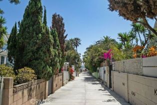 Apartment, 30 Dudley ave, Venice, CA 90291 - 2