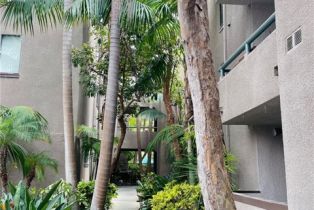 Condominium, 8300 Manitoba st, Playa Del Rey , CA 90293 - 35