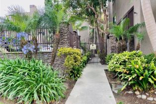 Condominium, 8300 Manitoba st, Playa Del Rey , CA 90293 - 36