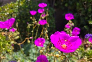 Single Family Residence, 319 Paseo De Gracia, Redondo Beach, CA 90277 - 40