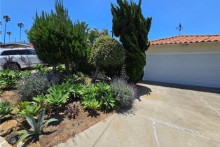 Single Family Residence, 319 Paseo De Gracia, Redondo Beach, CA 90277 - 52