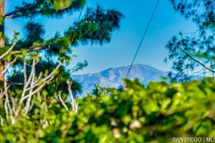 Single Family Residence, 11934 Salem dr, Granada Hills, CA 91344 - 45